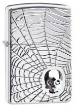 Spider Web Skull Design