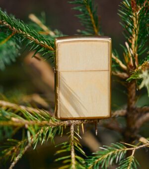 Lifestyle image of WOODCHUCK USA Birch Lighter standing in a tree